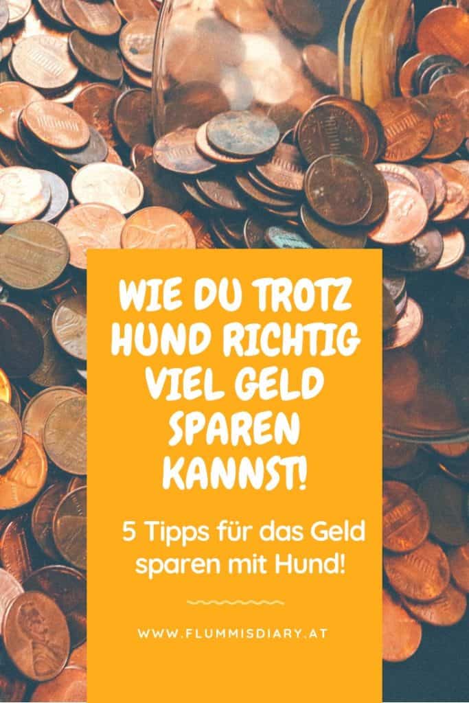 geld-sparen-mit-hund-tipps