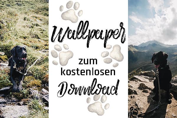 hunde-wallpapers-titelbild