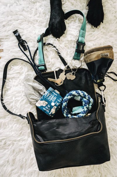 whats-in-my-bag-gassi-gehen