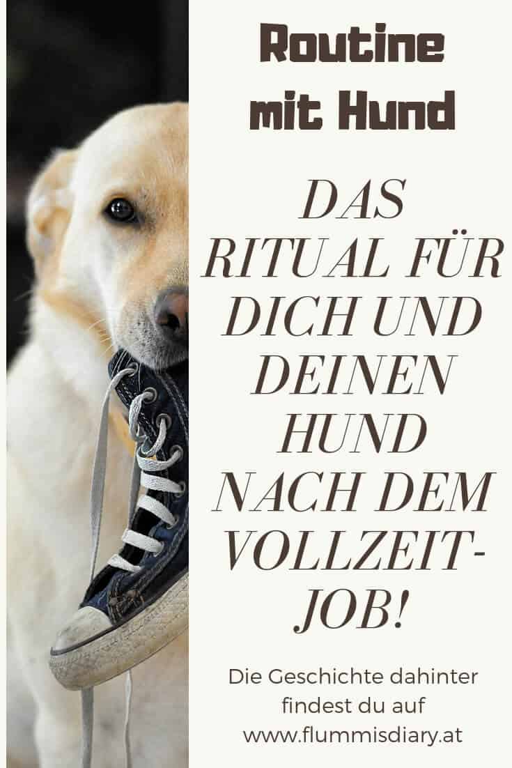 monatspfoto-grimassen-schneiden-pinterst