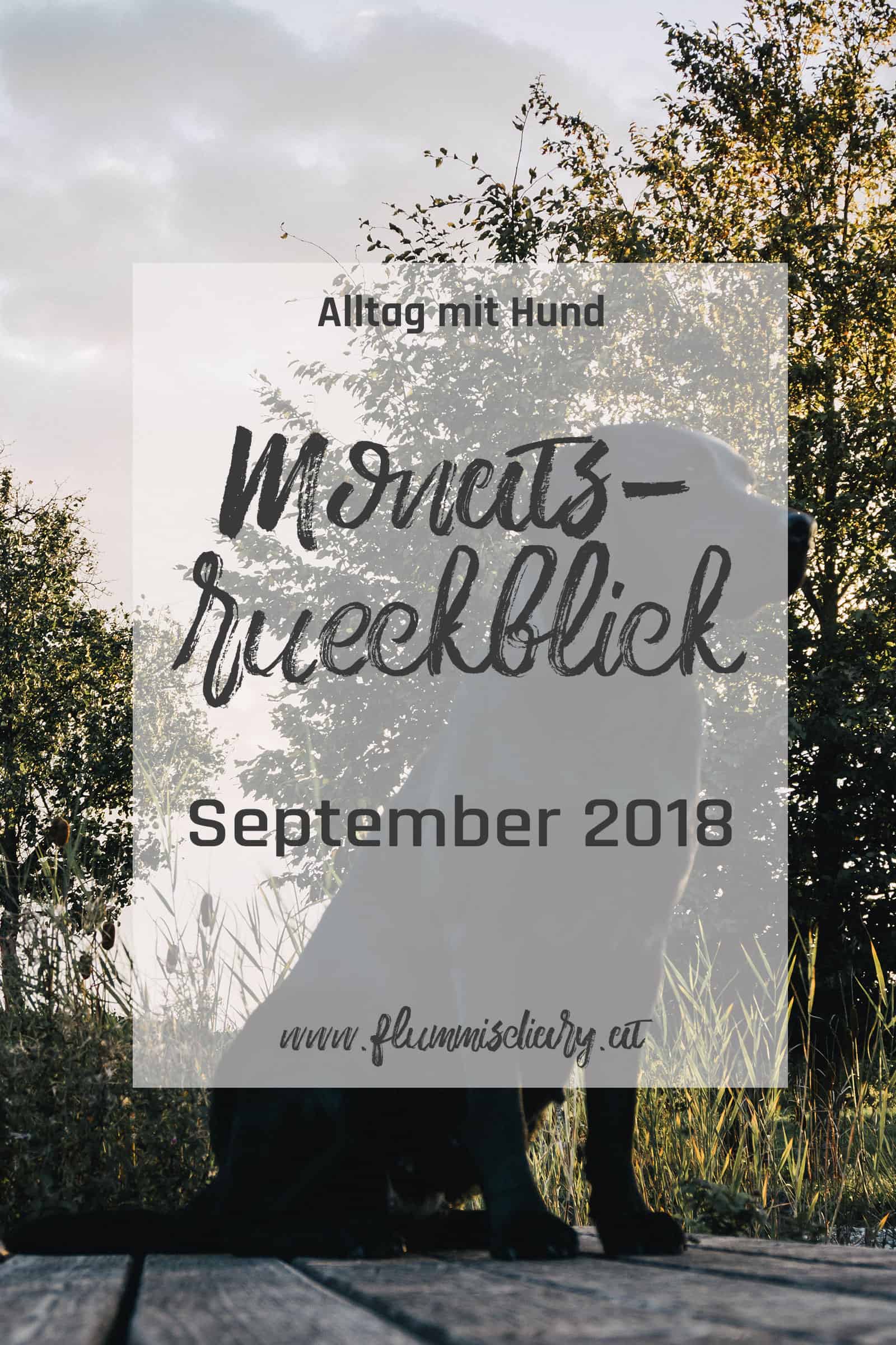 pinterest-monatsrueckblick-september