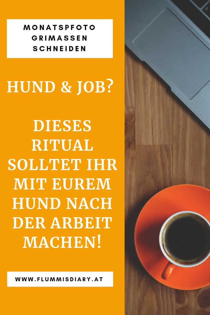 ritual-mit-hund-nach-arbeit