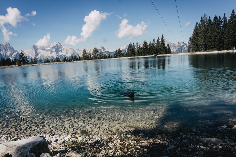 wandern-mit-hund-hoess