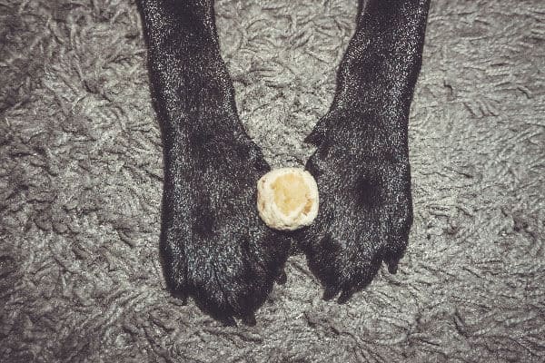 flummi-hund-propolis-baellchen-rezept