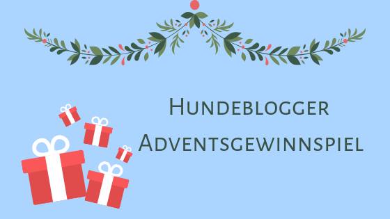 hundeblogger-adventkalender-gewinnspiel