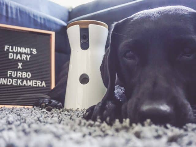 hundeblogger-produkttest-flummisdiary-furbo