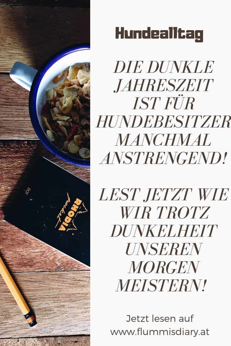 morgenroutine-mit-hund
