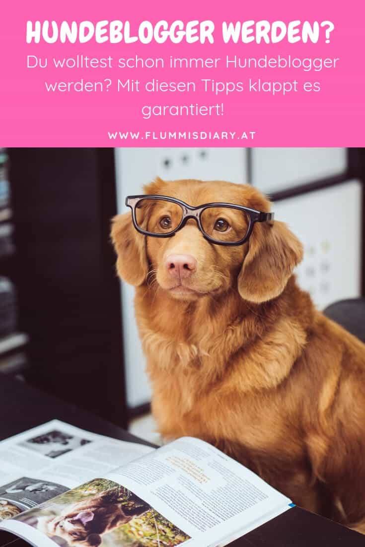 hunde-blogger-werden