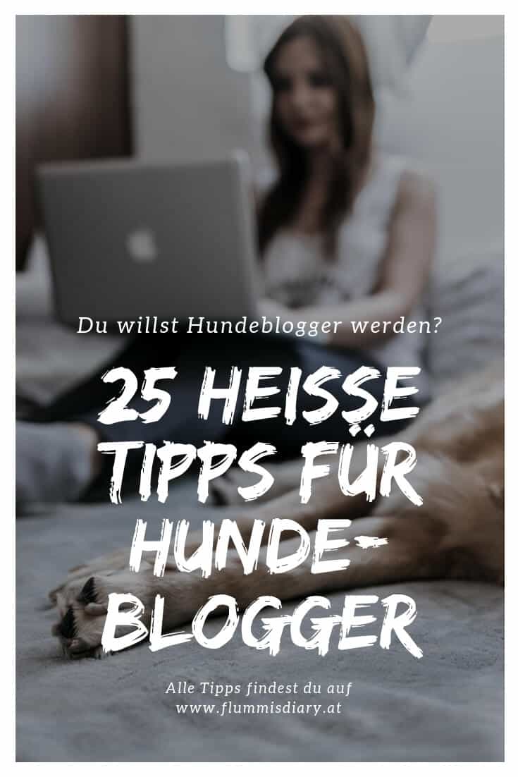 hundeblogger-werden-flummisdiary