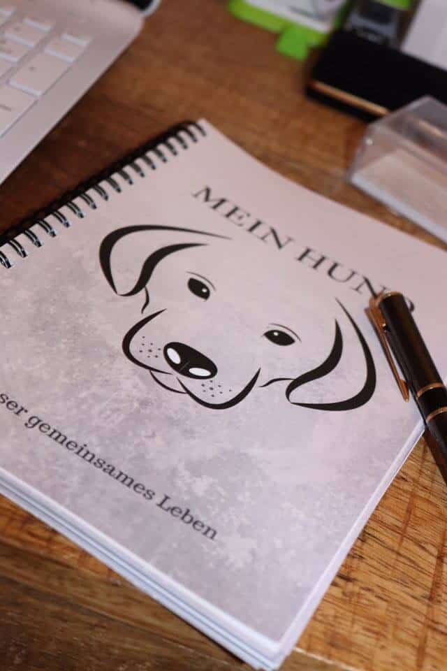 trainings-buch-kalender-lychee