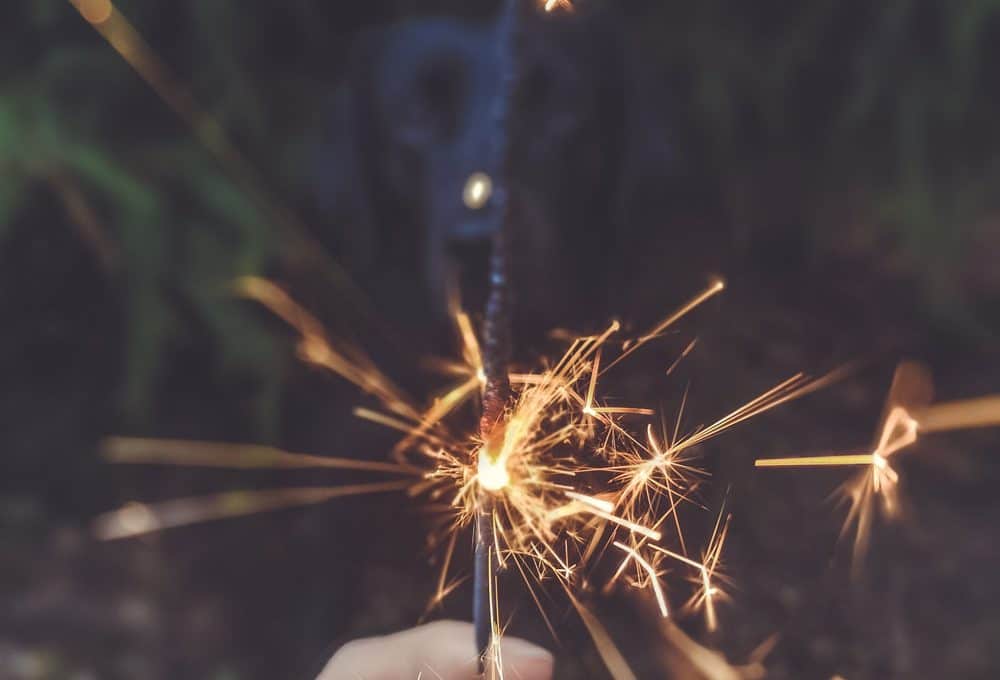 jahresrueckblick-2018-hundeblog
