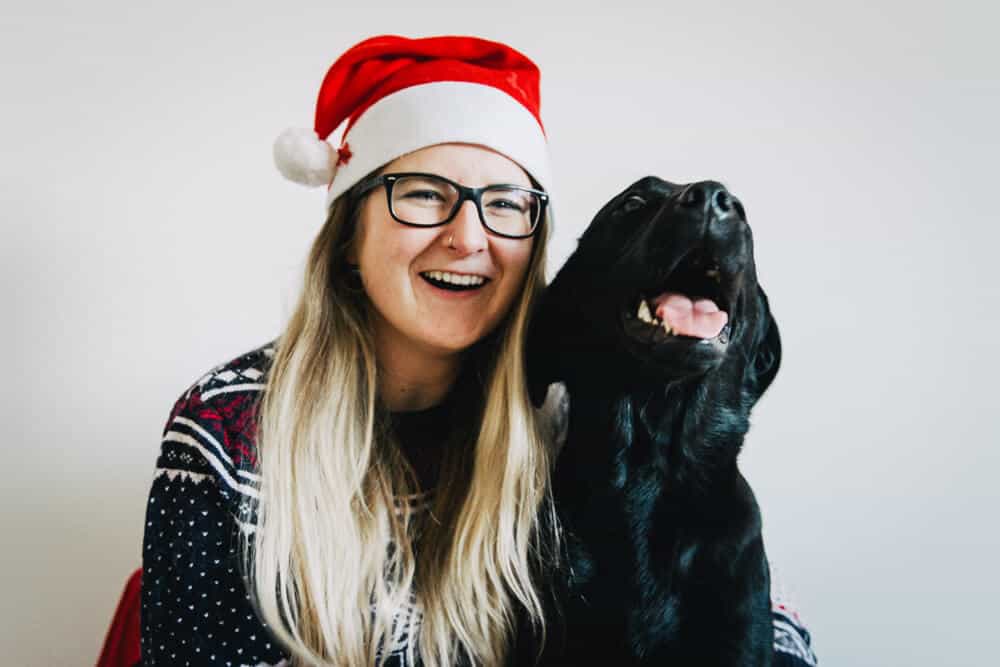 weihnachten-mit-hund-kein-stress-ohne-hunde