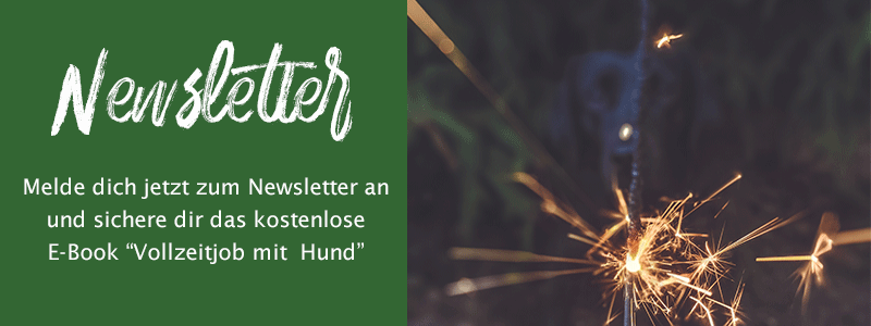 Newsletter-Banner-klein