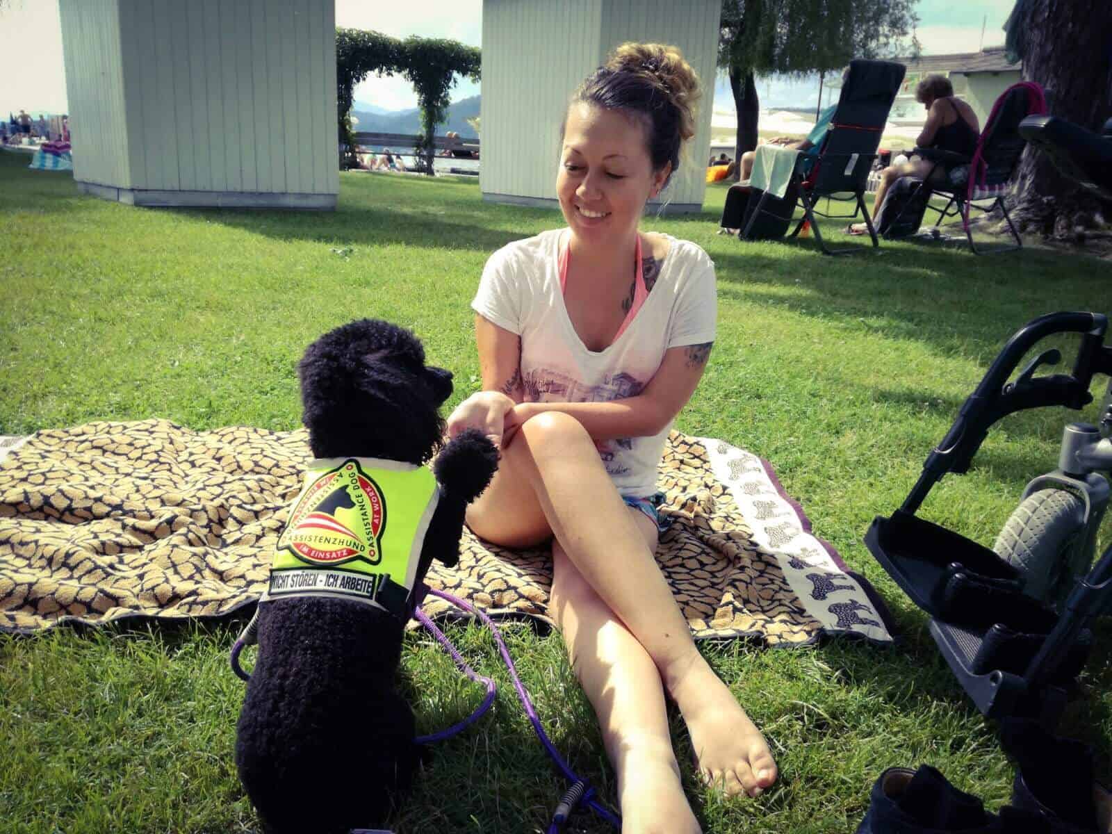 assistenz-hund-pudel
