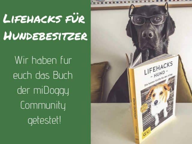 lifehacks-hund-buch