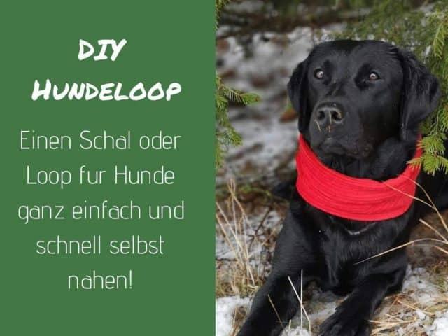 loop-schal-hund-hundeschal-diy