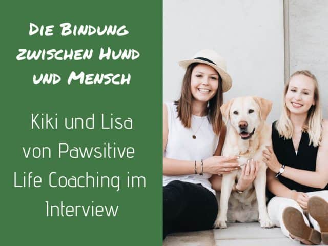 bindung-hund-pawsitive-life