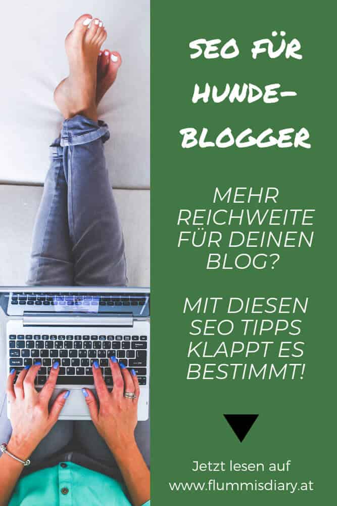 hundeblogger-blogger-seo-tipps