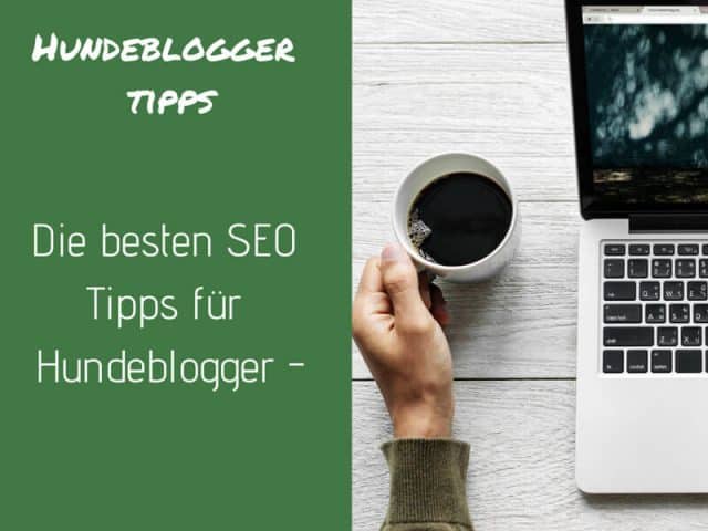 seo-fuer-hunde-blogger