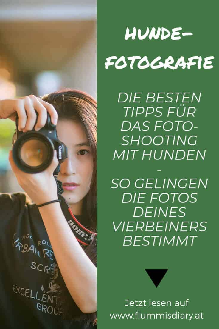 Hundefotoshooting-hund-foto-tipps