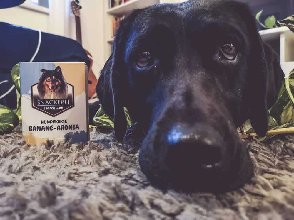 flummi-leckerli-hund-gewinnspiel.jpg