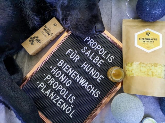 propolis-salbe-hund-honig-beegut