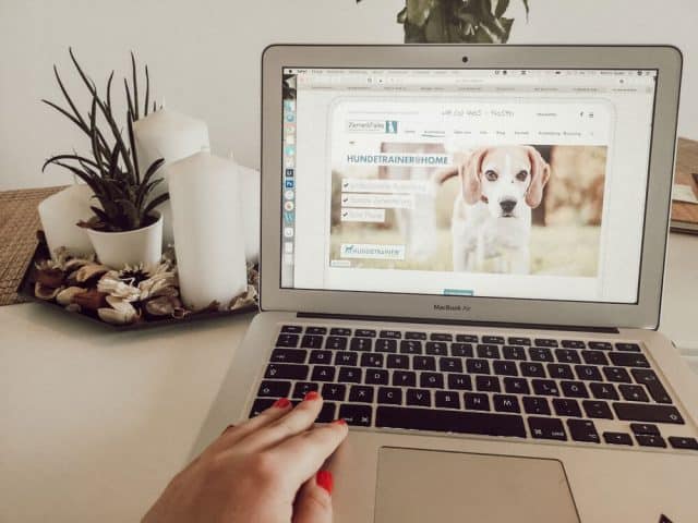hundetrainer-ausbildung-ziemer-falke-blog