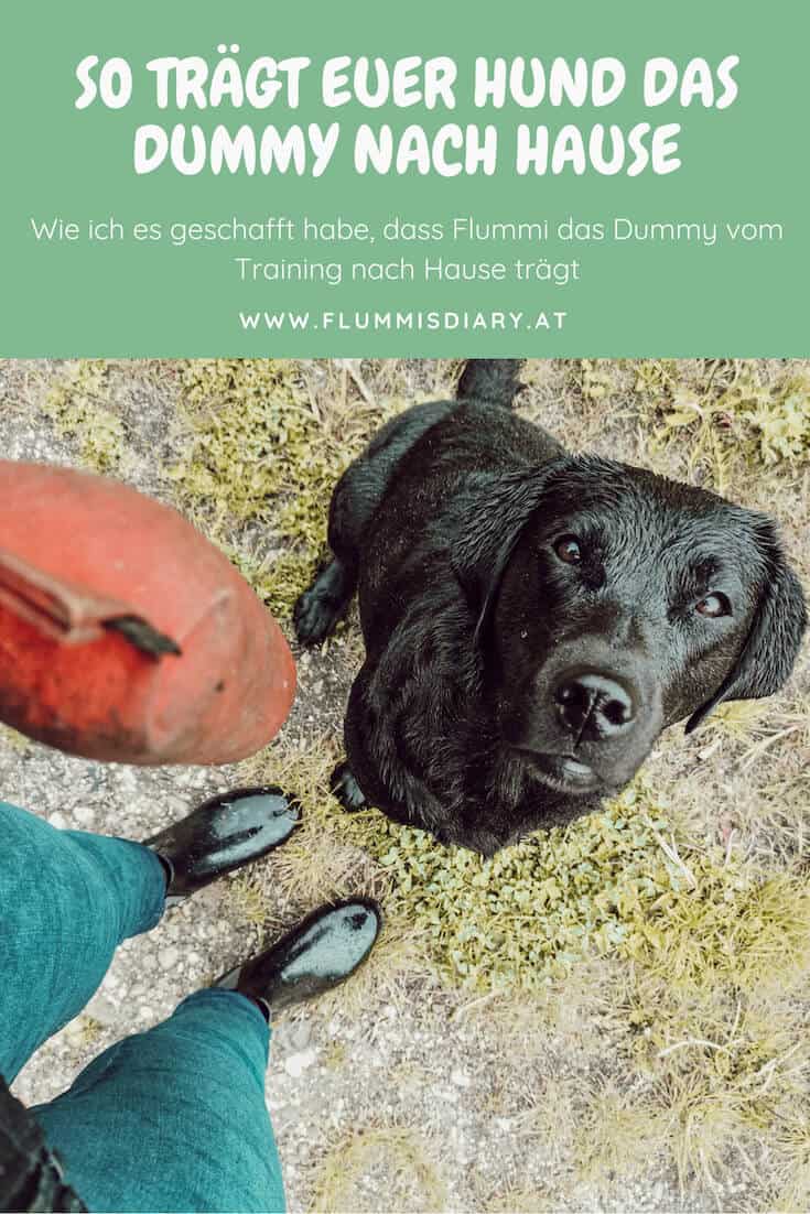 hundetraining-auslastung-dummy-apportel-tragen