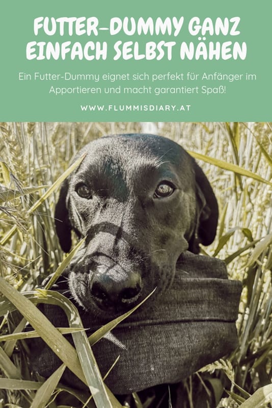 futter-dummy-selbst-naehen
