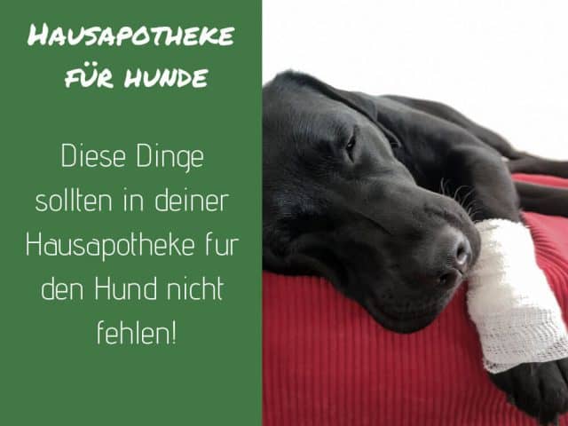 hausapotheke-hund-apotheke