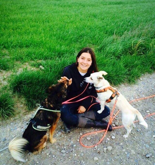 canistecture-karriere-hund-homeoffice-interview