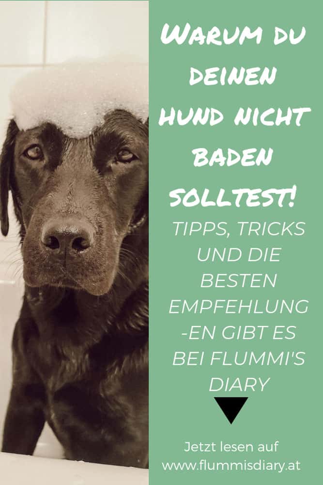 hunde-baden-badewanne-shampoo