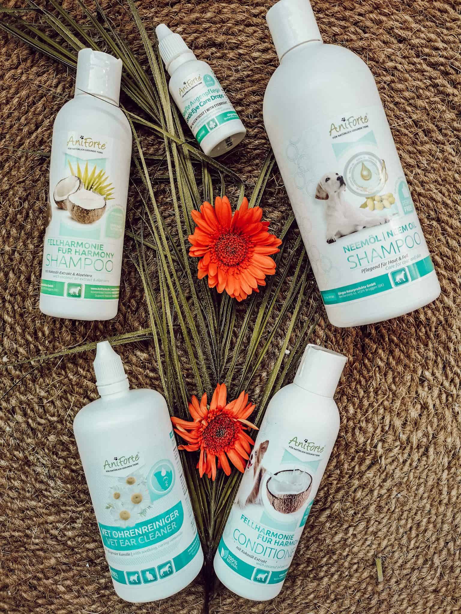 shampoo-hund-ohrenreiniger-aniforte-test