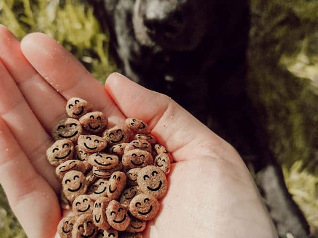 veganer-hund-vegan-ernährung-futter
