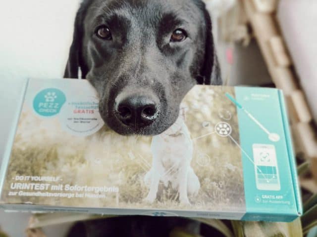 gesund-hund-check-test-pezz-life