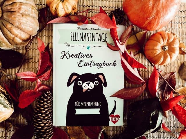 fellnasen-tagebuch-hunde-mitmachbuch-review-erfahrung