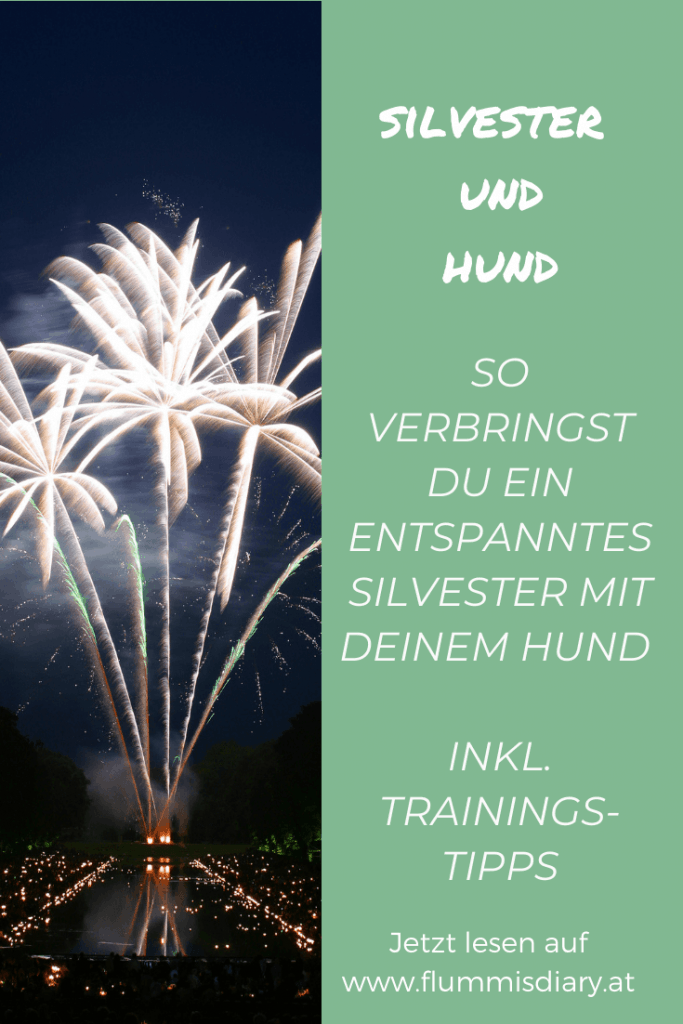 silvester-feuerwerk-hund-neujahr-tipps-training