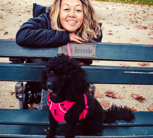 silvesterangst-hund-silvester-training-tipps-angst-entspannt
