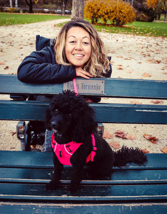 silvesterangst-hund-silvester-training-tipps-angst-entspannt