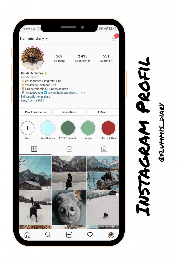 hunde-blogger-instagram-tipps-stories