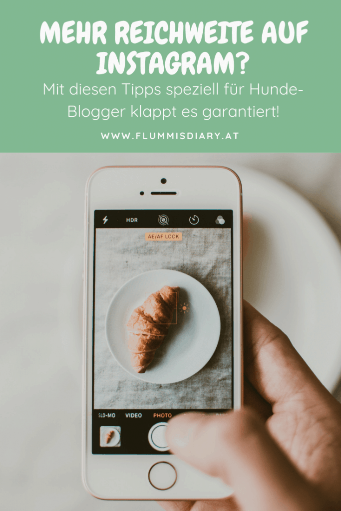 petfluencer-instagram-tipps-blogger-hund