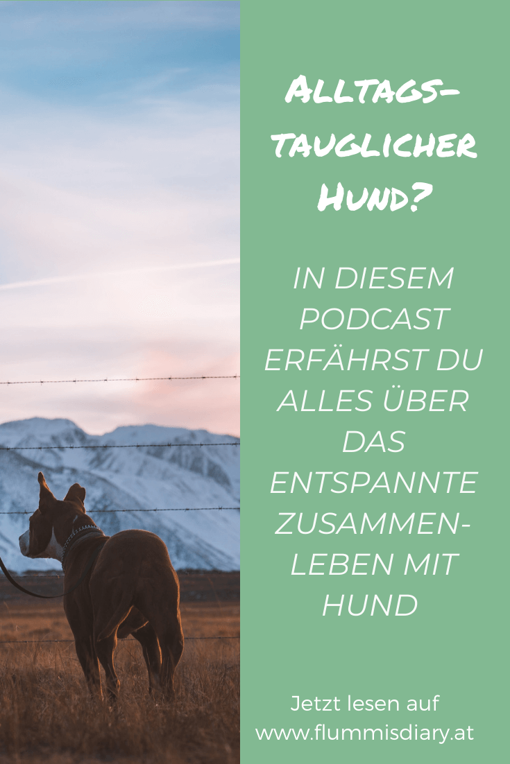 wau-hunde-podcast-oesterreich