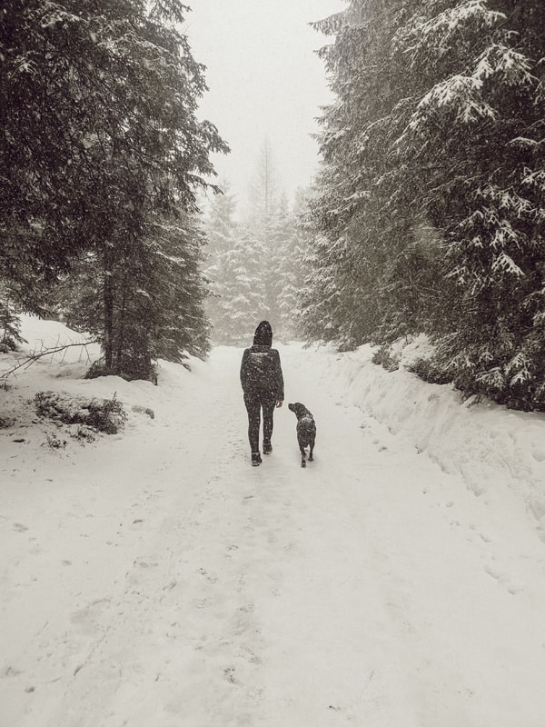 hotel-magdalena-zillertal-hundehotel-hunde-review