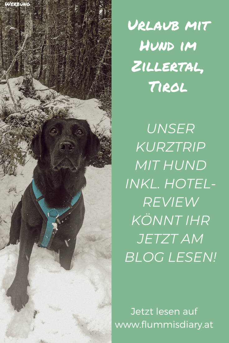 hoteltest-hotel-magdalena-hunde-review