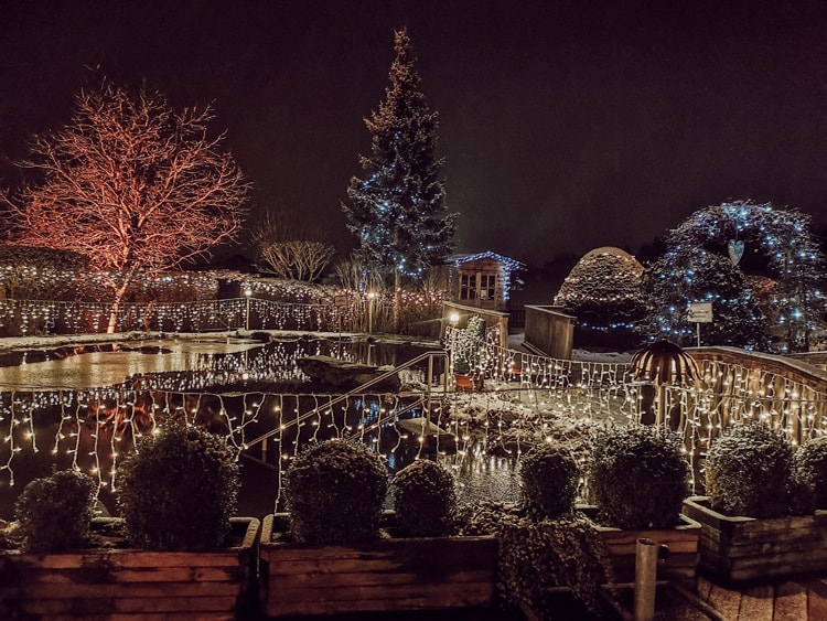 hundehotel-magdalena-hunde-hotel-zillertal-tirol-bewertung