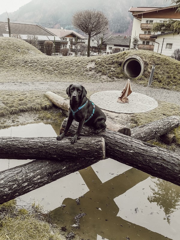 hundeplatz-hundehotel-magdalena-zillertal-hotel