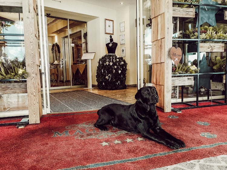 urlaub-mit-hund-hotel-magdalena-zillertal-tirol
