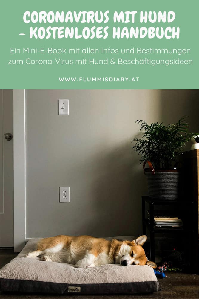 ebook-coronavirus-hund-auslastung-beschaeftigung-oesterreich-info-corona