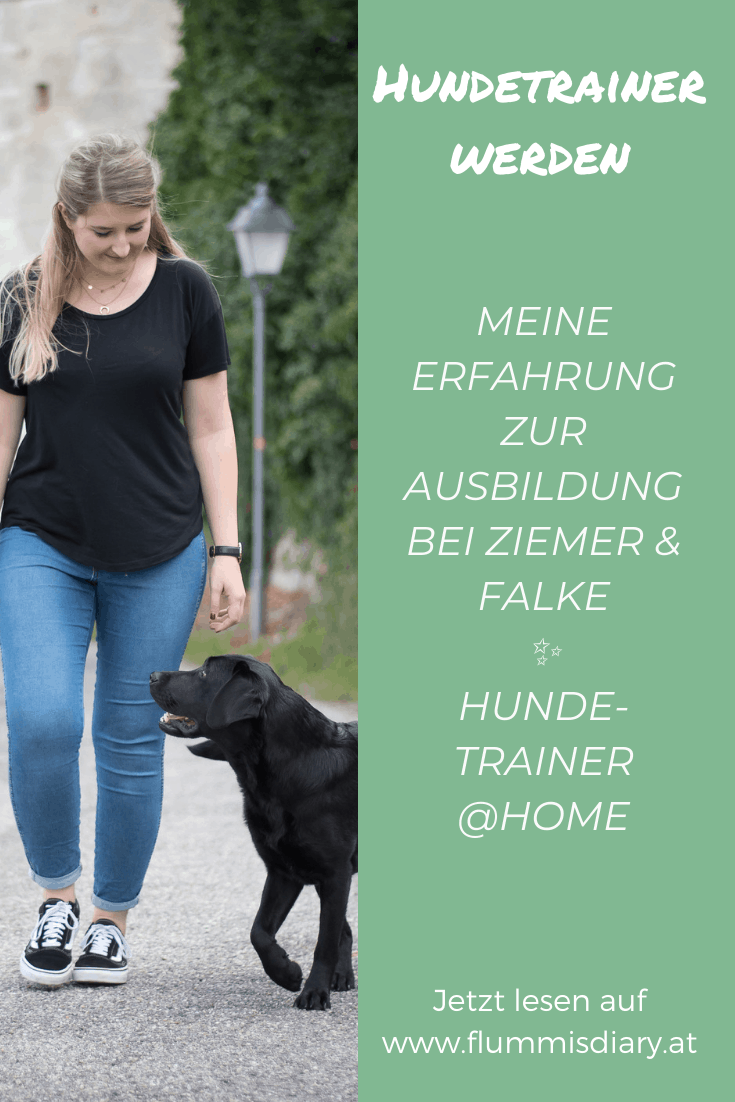 erfahrungen-ziemer-und-falke-ausbildung-hundetrainer-at-home