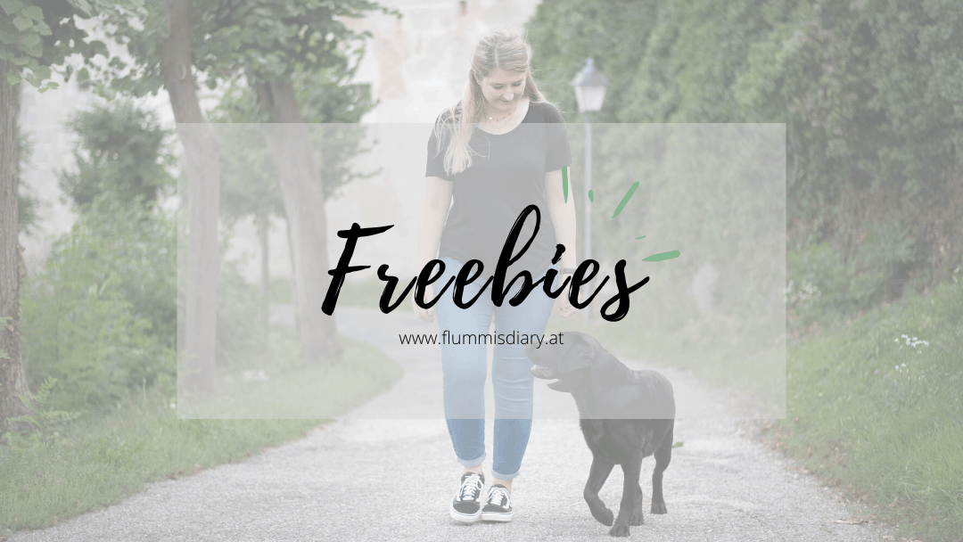 freebie-flummis-diary-kostenlos-ebook-gratis